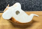 Vintage Bone China Miniature Walrus - Japan - Aprox 3 Inches Long
