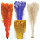 Bleached Peacock Tails Feathers 30 -40   Many Colors 10-200 Pcs Halloween Craft