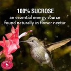 244sfb Hummingbird Instant Nectar Powder Concentrate - 2lb - Makes 192 Oz Of Hum