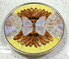Vintage Iridescent Blue Morpho Butterfly Wing Plate Wall Art Made In Brazil
