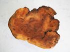 Burl Bowl Cape Cod Artist Signed 3 2007  Live Edge  Exceptional