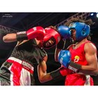 Ringside Competition Hook   Loop Leather Boxing Gloves