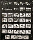 Ray Harryhausen j franciscus  valley Of Gwangi  Orig Contact Sheet Photos