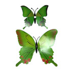 2 Green Butterfly Magnets Layered Plastic Green Black Orange Yellow