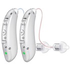 Rechargeable Digital Hearing Aids Severe Loss Sound Vocie Hearing Amplifier Bte