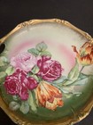 Antique American Beauties Wheellock   Co  German Rose Cabinet Plate