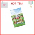 Kaytee Fiesta Mouse   Rat Food  Nutritious And Fun Blend  Supports Dental Health