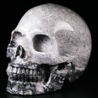 Huge 5 0  Picasso Jasper Carved Crystal Skull  Realistic  Crystal Healing