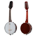 New Brand 8 String Mandolin-banjo W gig Bag
