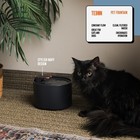 Cat Water Fountain - Automatic Pet Water Dispenser   Drinking Bowl New In Box