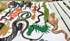 Cobra snakes  Dragons  Scorpn  Tarantula  Grsshpr  Etc rare Vintage 1970 s Coll 