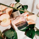 My Burberry Blush By Burberry 3 0 Oz Edp Perfume For Women New In Box