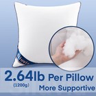 Siluvia 24x24 Pillow Inserts Set Of 2 Square Throw 24 Euro Pillows With 100     
