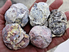 One Pound  5-7 Whole Dugway Geodes     1 5  - 2 0  Diam 
