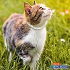 Hartz Ultraguard Purple Flea tick Collar For Cats And Kittens-7 Month Protection