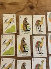 Vintage 1940 s Whitman Animal Rummy Card Game  3031  Box  Set Of 44 Cards