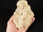 Huge  One Million Year Old  Early Stone Age Acheulean Hand Axe Mali 900gr