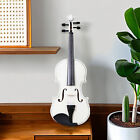 4 4 Full Size Acoustic Violin Set For Beginners - White Color  Case  Bow   Rosin