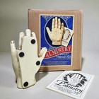 Palmistry Hand  Fortune Telling Hand  Oddities  Curiosities
