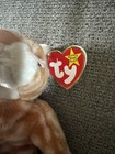 Rare Ty Beanie Babies Collection  amber  The Cat 1999 4 Errors 