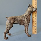 Vintage Bronze Boxer Dog Figurine  Mid Century Patinated Metal Dog Statue