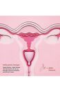 The Hello Cup Small   Large  Menstrual Cup  Bpa Free  Reusable  Hypoallergenic 