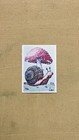 Aceo Edition- Print    snail And Mushroom    Of A Hand Painted Watercolor Painting
