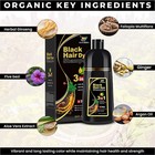 Hair Dye Shampoo 3 In 1 Hair Shampoo Instant Hair Dye Herbal Ingredients Us