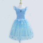 Blue Ballet Dress Romantic Ballet Tutu Professional Girls Fairy Ballet Costume
