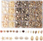 1300 pcs Tiny Seashells For Crafts  Small Sea Shells In Bulk With Mini Starfish