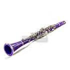 Upgraded  New Band Approved Sky Purple Clarinet W Mouthpiece Reeds Cloth More