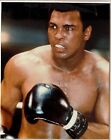Signed Muhammad Ali Pen Autograph Photo 80s 90s Boxing Gloves Signature Framed