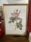 Vintage Antique Framed Rose Photo