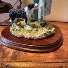 The Leonardo Collection The Sheep Dog Trials 