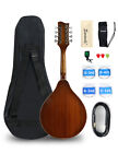 A Style 8 String Electric-acoustic Mandolin Instrument With Pickup Sapele Top F