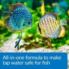 Api Pond Aqua Essential Water Conditioner 1 Gal  424c