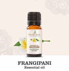 Frangipani Essential Oil -   5 Ml To 1000 Ml  -100  Pure And Natural Absolute