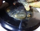 Spi San Pacific International Bronze Pair Dolphin Sculpture Marble Base