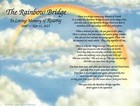 Personalized Pet Memorial Poem The Rainbow Bridge For Loss Of Pet