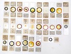 Microscope Slides  Petrology  Histology  Entomology Etc