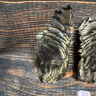 Four Wild Turkey Wing Body Feathers Plume Art Fan Bustle Fly Tying Craft Mount