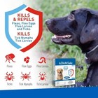 Adams Flea   Tick Collar For Large Dogs  7 Month Protection