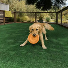 Emerald Green Precut Turf 6 Ft  X 8 Ft  Artificial Grass Rug