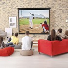 72 Inch Portable Projector Screen Projection Screen Easy Pull Out System Black
