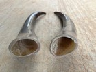 Steer Horns 11 Inch Two Horns Semi Polished Bull Cow