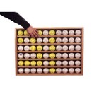 Pennzoni Baseball Display Case  Acrylic Hockey Puck Display Case  Holds 60 Balls
