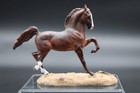 Aa Hackney Pony Custom Resin By Donna Chaney