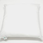 Set Of 2 Pillow Insert 18x18 In  Hypoallergenic 100  Polyester Outdoor Ashler