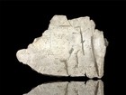 Museum-quality 10 64 Lb Aletai Iron Meteorite End - Cut Etched With Fusion Crust