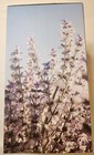 Young Living Essential Oil Haven Ceramic Diffuser Brand New In Box Sealed